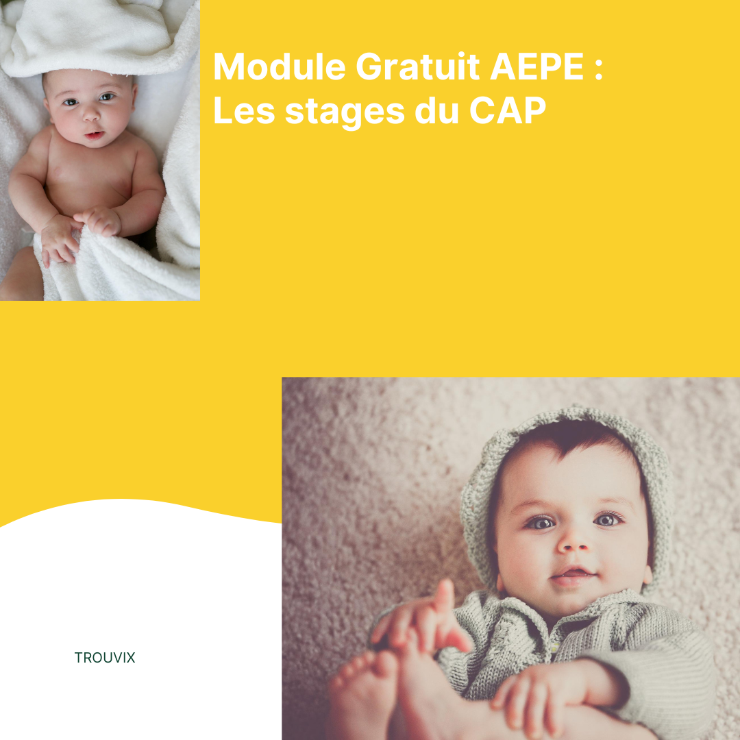 Module Gratuit AEPE - Les stages du CAP